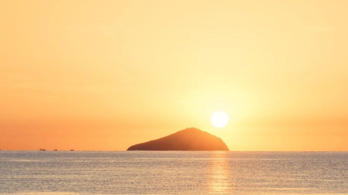 �й�������yl23455(�ɷ�)���޹�˾-�ٷ���վ